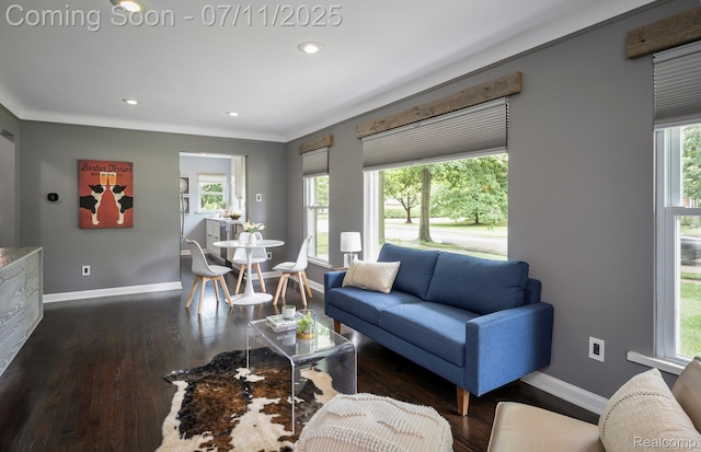 4412 Buckingham Rd, Royal Oak, MI 48073 - living room featuring recessed lighting and wood finished floors