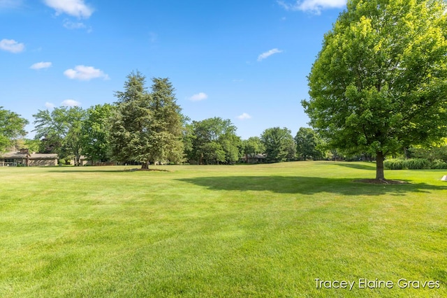 6305 Greenway Dr SE Unit 51, Grand Rapids, MI 49546 - view of community with a yard