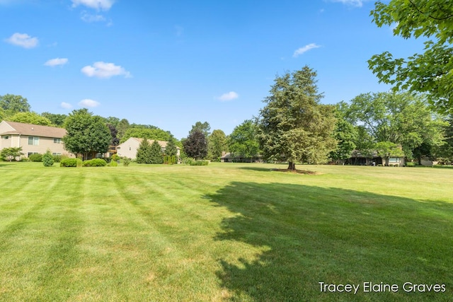 6305 Greenway Dr SE Unit 51, Grand Rapids, MI 49546 - view of green lawn