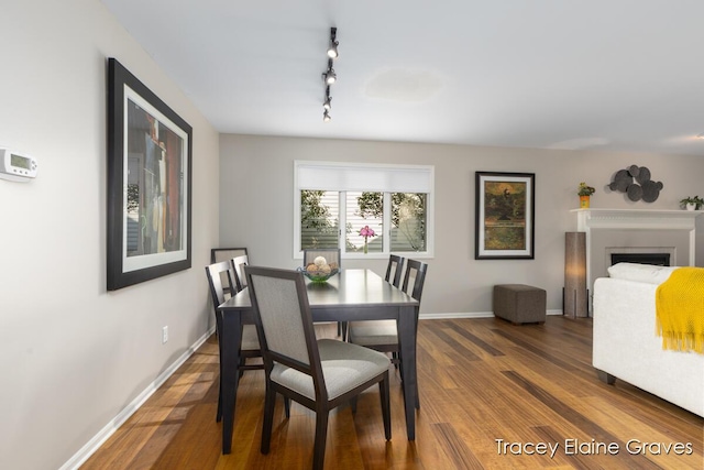 6305 Greenway Dr SE Unit 51, Grand Rapids, MI 49546 - dining space with rail lighting, wood finished floors, and a fireplace