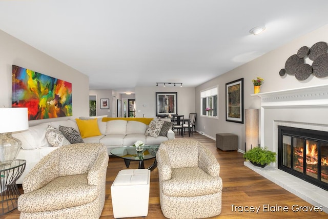 6305 Greenway Dr SE Unit 51, Grand Rapids, MI 49546 - living area featuring wood finished floors, a fireplace, and rail lighting