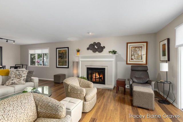 6305 Greenway Dr SE Unit 51, Grand Rapids, MI 49546 - living room featuring a glass covered fireplace, wood finished floors, and rail lighting
