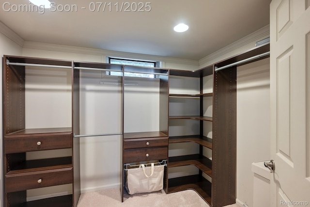 1416 N Alexander Ave, Royal Oak, MI 48067 - view of spacious closet