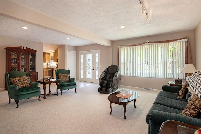 236 Jeffrey St NE, Cedar Springs, MI 49319 - living room with a textured ceiling, light carpet, recessed lighting, and rail lighting
