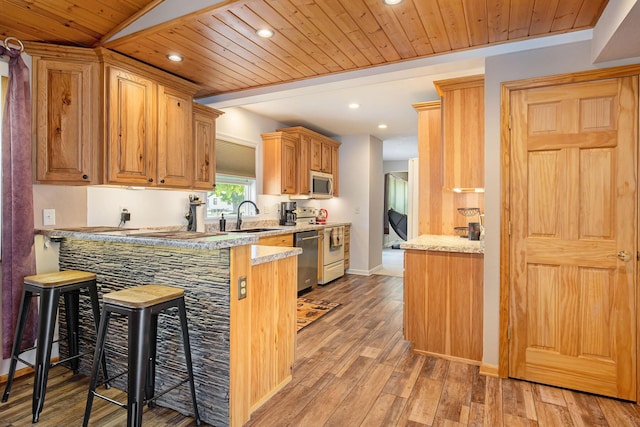 236 Jeffrey St NE, Cedar Springs, MI 49319 - kitchen featuring appliances with stainless steel finishes, a peninsula, light wood finished floors, a kitchen bar, and recessed lighting