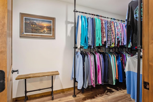 236 Jeffrey St NE, Cedar Springs, MI 49319 - spacious closet with wood finished floors