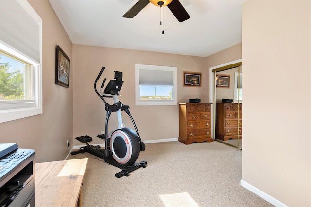 236 Jeffrey St NE, Cedar Springs, MI 49319 - workout room with ceiling fan and carpet floors