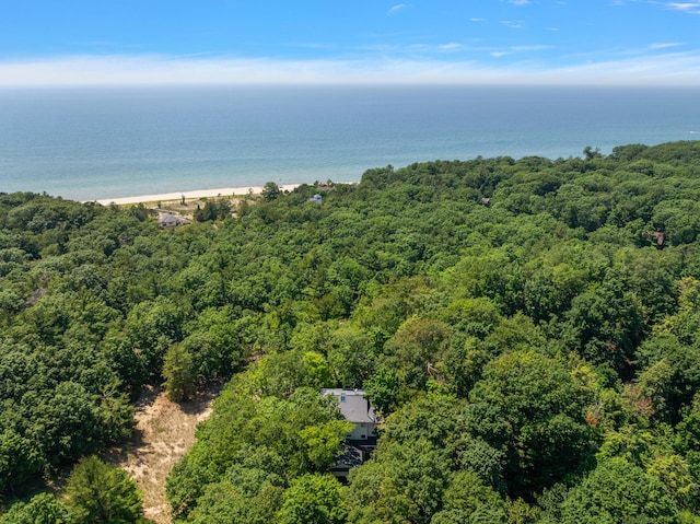 17531 Mountain Plat Dr, Grand Haven, MI 49417 - photo 18
