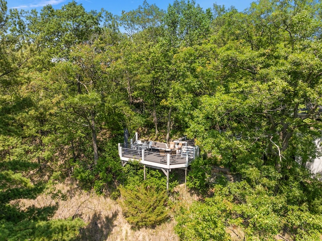 17531 Mountain Plat Dr, Grand Haven, MI 49417 - photo 24