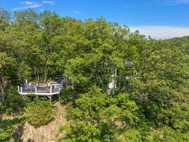 17531 Mountain Plat Dr, Grand Haven, MI 49417 - photo 26