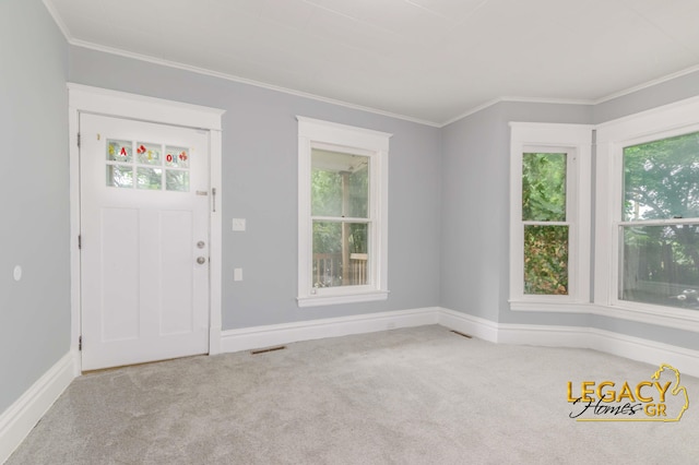 445 Prince St SE, Grand Rapids, MI 49507 - carpeted entrance foyer featuring plenty of natural light and ornamental molding