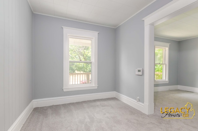 445 Prince St SE, Grand Rapids, MI 49507 - carpeted spare room with ornamental molding and baseboards