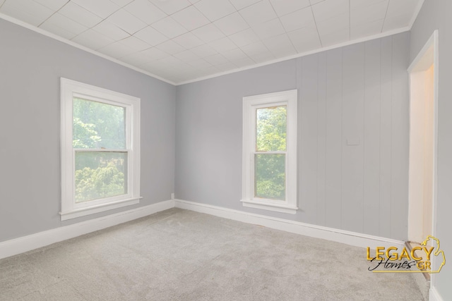 445 Prince St SE, Grand Rapids, MI 49507 - spare room featuring crown molding and carpet flooring