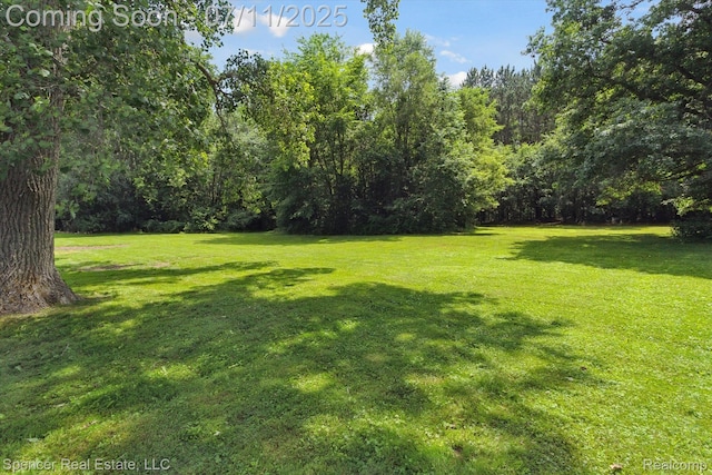 5045 Pine Knob Trl, Clarkston, MI 48346 - view of grassy yard featuring a forest view