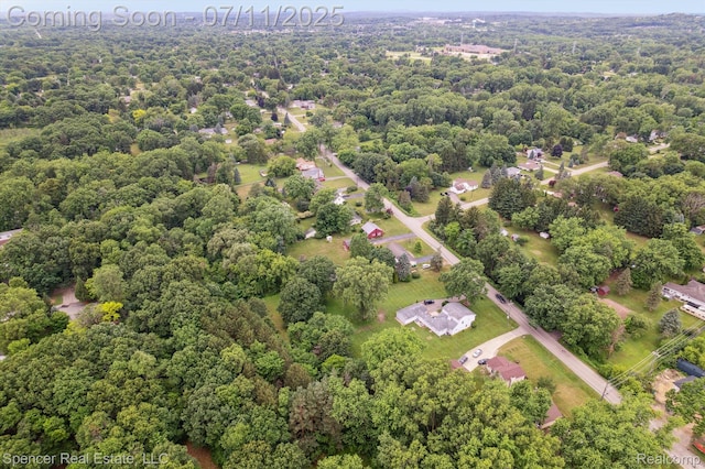 5045 Pine Knob Trl, Clarkston, MI 48346 - bird's eye view of a forest