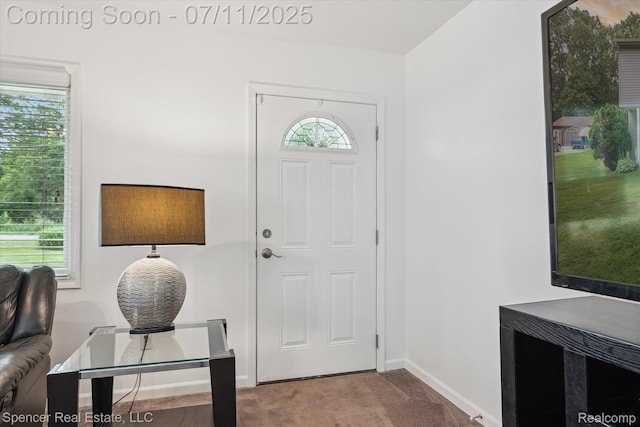 5045 Pine Knob Trl, Clarkston, MI 48346 - carpeted entrance foyer with baseboards