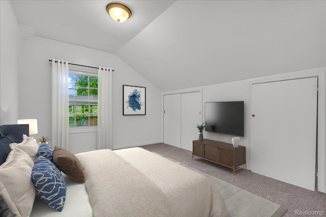 4800 Bishop St, Detroit, MI 48224 - carpeted bedroom featuring lofted ceiling and a closet