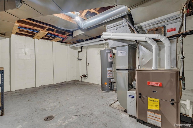 4800 Bishop St, Detroit, MI 48224 - unfinished below grade area with gas water heater and heating unit