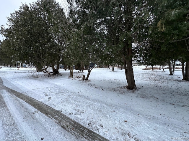 9 Livingston St, Brockway, MI 48097
