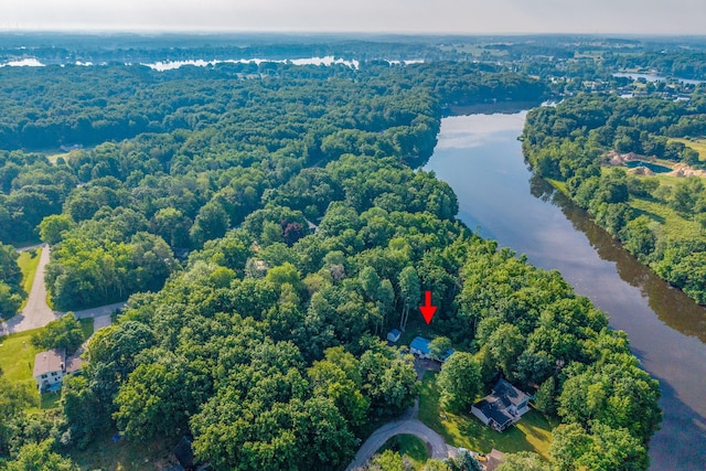 1051 Vallado Dr, Weidman, MI 48893 - aerial view of property's location with a nearby body of water and a forest