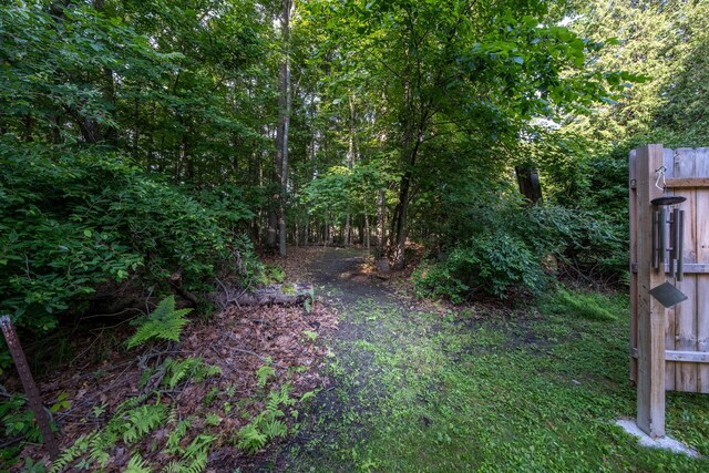 1051 Vallado Dr, Weidman, MI 48893 - view of yard