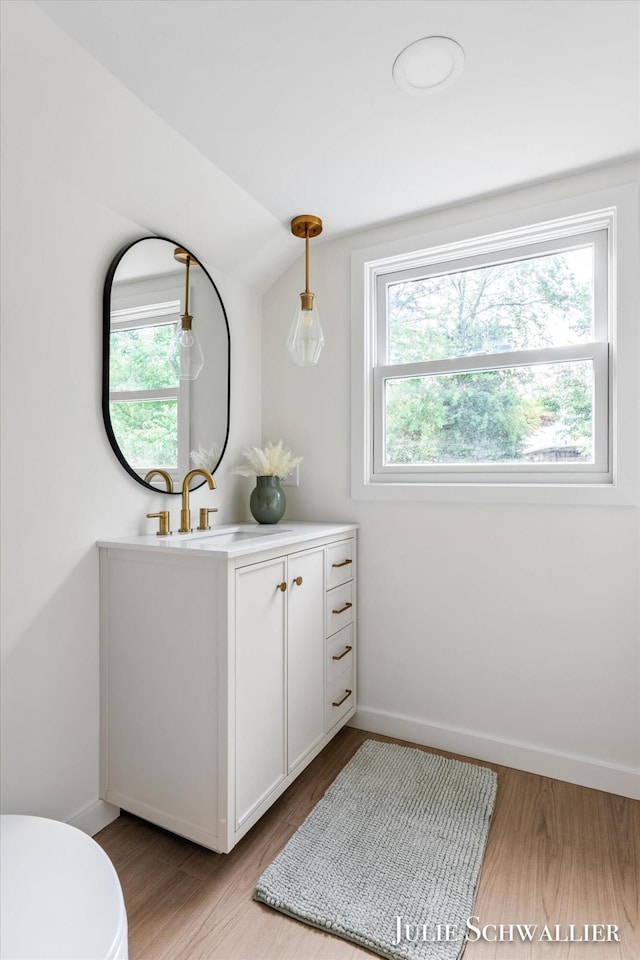 751 Old Gate Rd NW, Grand Rapids, MI 49504 - bathroom with vanity, healthy amount of natural light, and wood finished floors