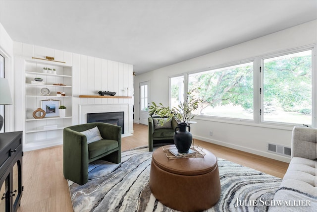 751 Old Gate Rd NW, Grand Rapids, MI 49504 - living room with light wood-style flooring, a large fireplace, and built in shelves