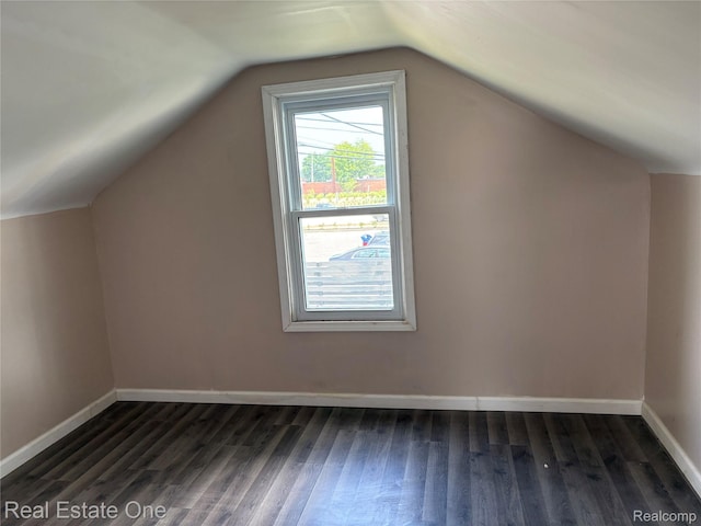 5873 Elmgrove Ave, Warren, MI 48092 - additional living space featuring dark wood-style floors and lofted ceiling