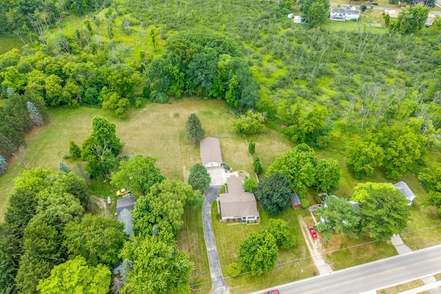 616 N Lincoln Ave, Lakeview, MI 48850 - drone / aerial view
