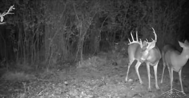 VL E Howard Rd, Beaverton, MI 48612 - photo 1