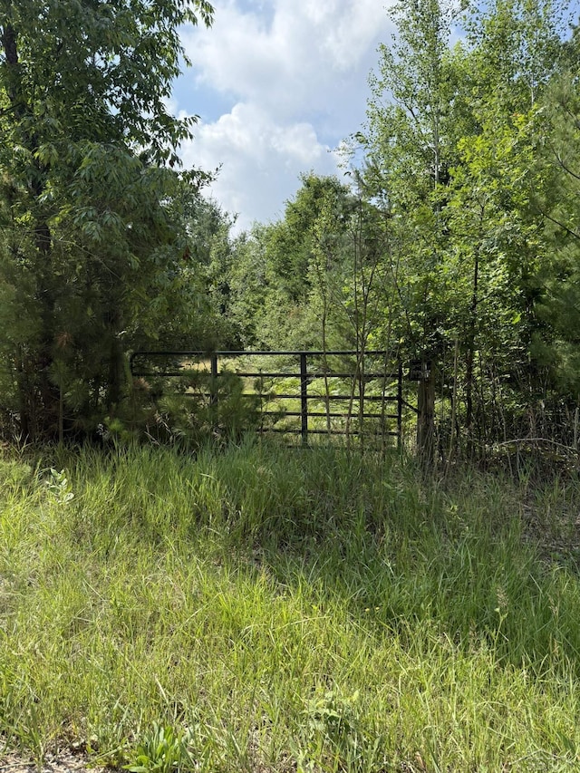 VL E Howard Rd, Beaverton, MI 48612 - photo 3