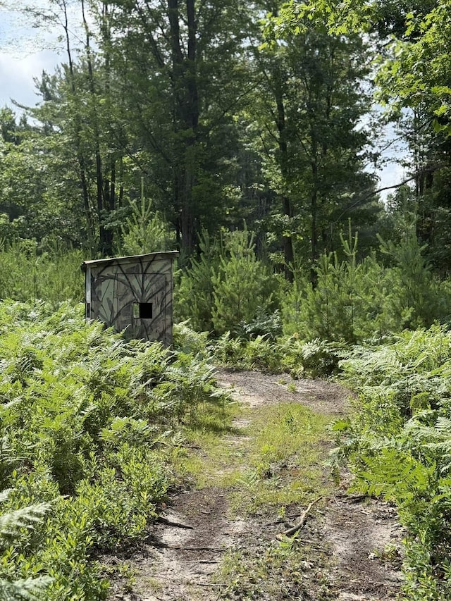 VL E Howard Rd, Beaverton, MI 48612 - photo 8