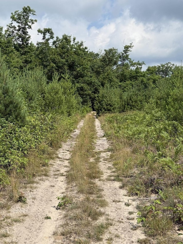 VL E Howard Rd, Beaverton, MI 48612 - photo 9