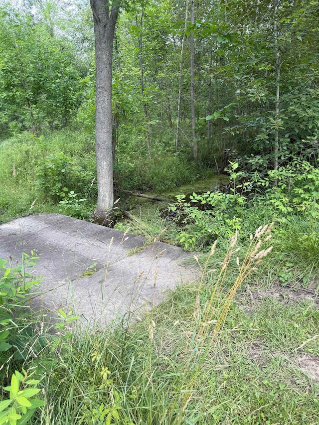 VL E Howard Rd, Beaverton, MI 48612 - photo 14