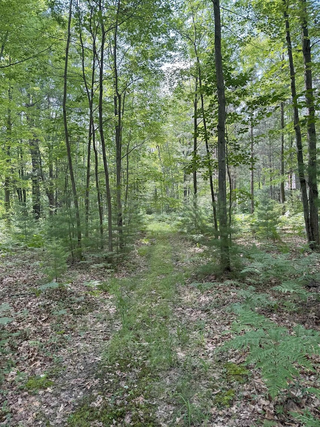 VL E Howard Rd, Beaverton, MI 48612 - photo 15