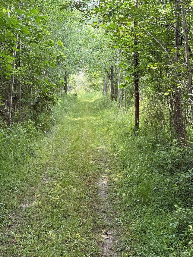 VL E Howard Rd, Beaverton, MI 48612 - photo 16
