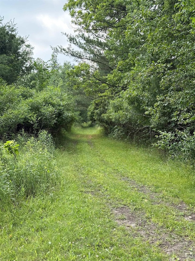 VL E Howard Rd, Beaverton, MI 48612 - photo 17
