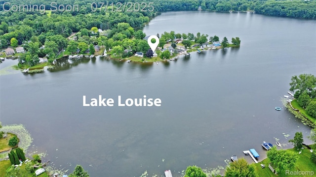 1962 Lake Pointe Dr, Ortonville, MI 48462 - aerial view of a large body of water