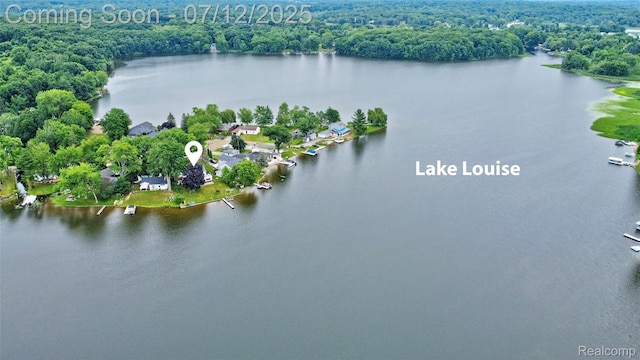 1962 Lake Pointe Dr, Ortonville, MI 48462 - aerial view of a nearby body of water
