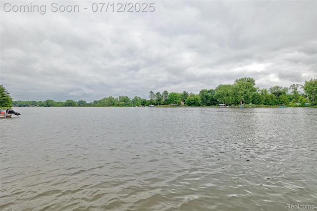 1962 Lake Pointe Dr, Ortonville, MI 48462 - water view