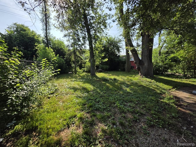 17696 Woodbine St, Detroit, MI 48219 - photo 2