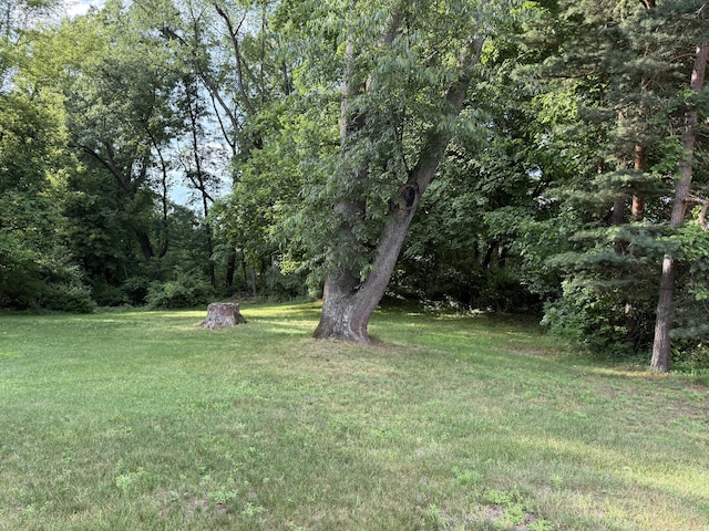 6429 Wendell St SE, Grand Rapids, MI 49546 - view of grassy yard featuring a forest view