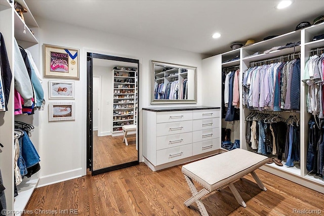 586 Fairfax St, Birmingham, MI 48009 - walk in closet featuring light wood-style flooring