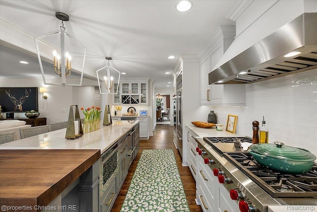 586 Fairfax St, Birmingham, MI 48009 - kitchen featuring exhaust hood, stainless steel appliances, white cabinetry, a chandelier, and dark wood-style flooring
