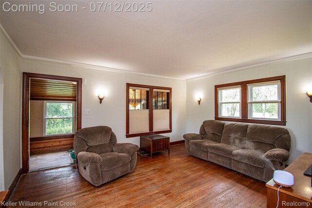 20525 30 Mile Rd, Ray, MI 48096 - living area featuring ornamental molding and wood-type flooring
