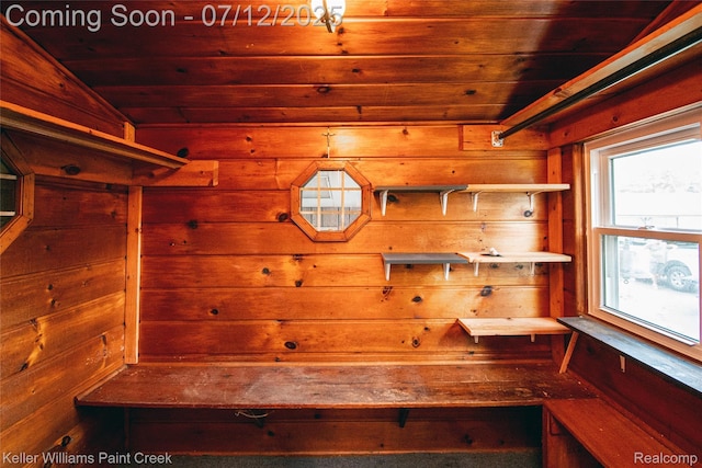 20525 30 Mile Rd, Ray, MI 48096 - storage area featuring a sauna