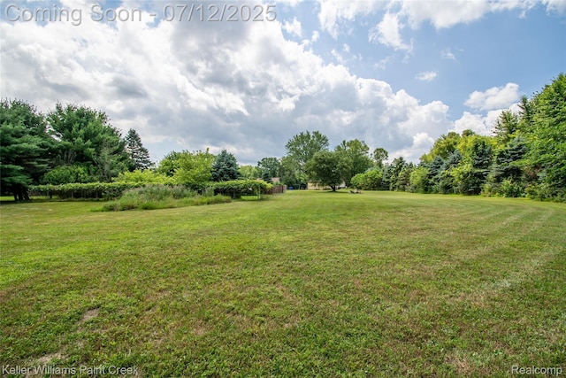 20525 30 Mile Rd, Ray, MI 48096 - view of grassy yard