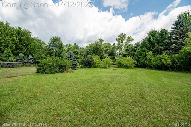 20525 30 Mile Rd, Ray, MI 48096 - view of yard