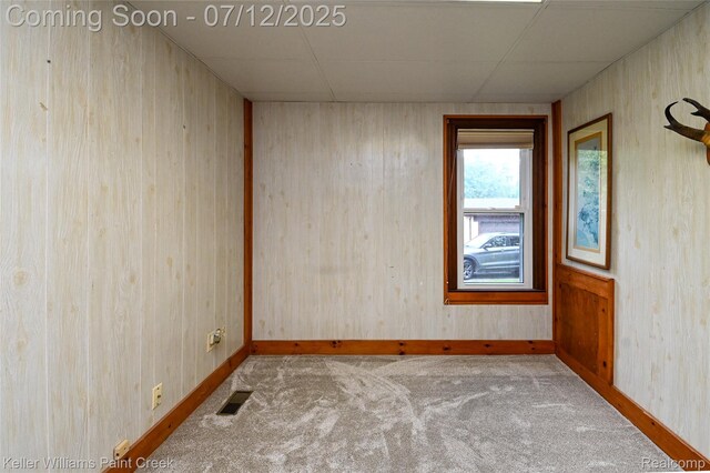 20525 30 Mile Rd, Ray, MI 48096 - carpeted spare room with wooden walls