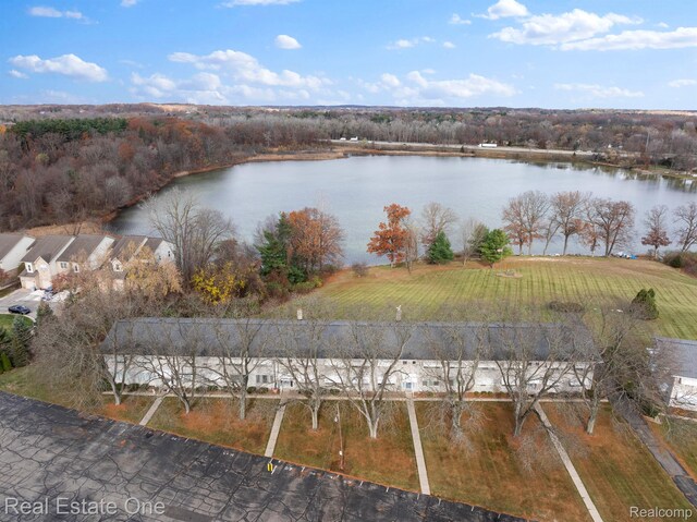5980 Alan Dr Unit 6, Brighton, MI 48116 - water view
